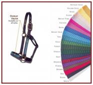 Big D Adjustable Chin Halter w/ Overlay